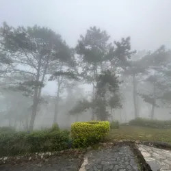 Phu Ruea National Park - Loei