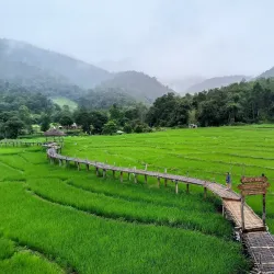 Su Tong Pae Bridge - Mae Hong Son