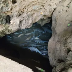 Tham Pla Fish Cave - Mae Hong Son