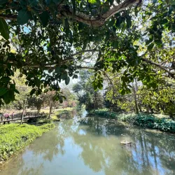 Tham Pla Fish Cave - Mae Hong Son