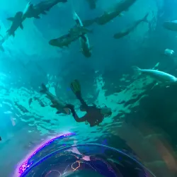 Bueng Boraphet - Nakhon Sawan