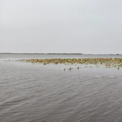 Bueng Boraphet - Nakhon Sawan