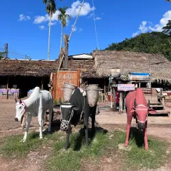 Bo Kluea Salt Wells - Nan