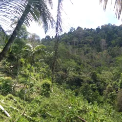 Budo-Su-ngai Padi National Park - Narathiwat