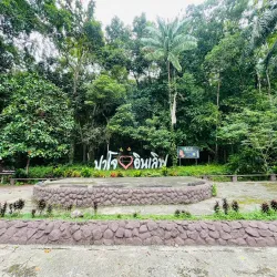 Budo-Su-ngai Padi National Park - Narathiwat