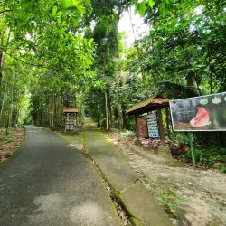 Budo-Su-ngai Padi National Park - Narathiwat