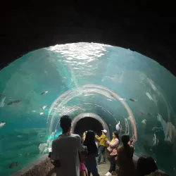 Nong Khai Aquarium - Nong Khai