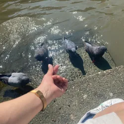 Nonthaburi Pier - Nonthaburi