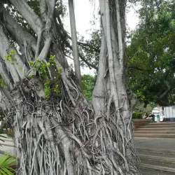 Santichaiprakarn Park - Nonthaburi