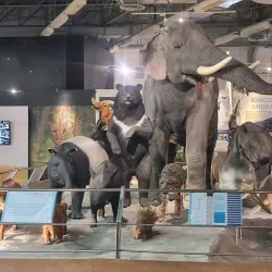 Pathum Thani Museum - Pathum Thani