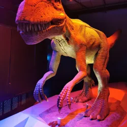 Pathum Thani Museum - Pathum Thani