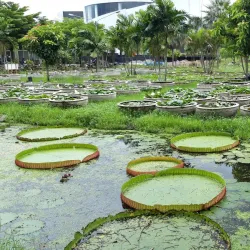 Rangsit Botanical Garden - Pathum Thani