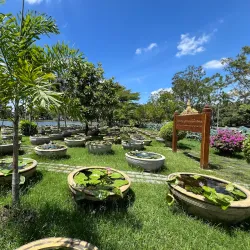Rangsit Botanical Garden - Pathum Thani