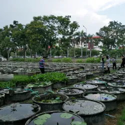 Rangsit Botanical Garden - Pathum Thani