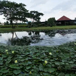 Rangsit Botanical Garden - Pathum Thani