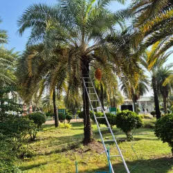 Pattani Central Mosque - Pattani