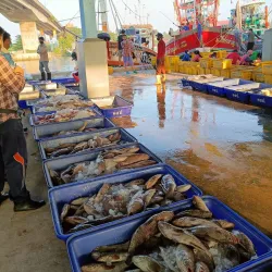 Pattani Floating Market - Pattani