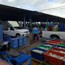 Pattani Floating Market - Pattani