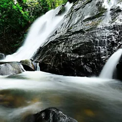 Ton Nga Chang Wildlife Sanctuary - Pattani