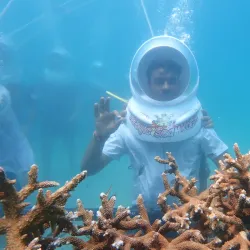 Coral Island (Koh Larn) - Pattaya