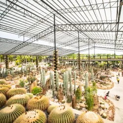 Nong Nooch Tropical Botanical Garden - Pattaya