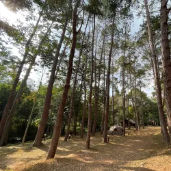 Khao Kho National Park - Phetchabun