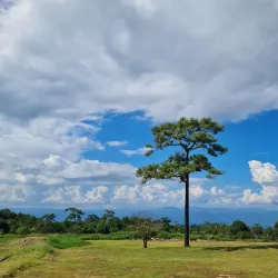 Phu Hin Rong Kla National Park - Phetchabun