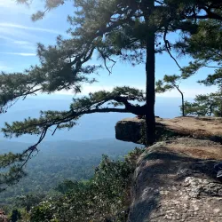 Phu Kradueng National Park (nearby) - Phetchabun
