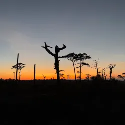 Phu Kradueng National Park (nearby) - Phetchabun