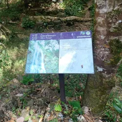 Tat Mok Waterfall - Phetchabun