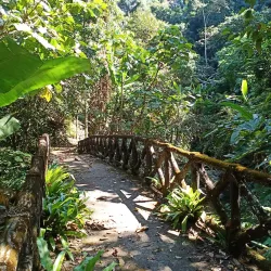 Tat Mok Waterfall - Phetchabun