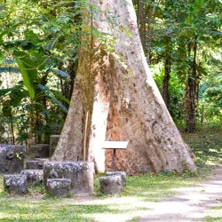 Tat Mok Waterfall - Phetchabun