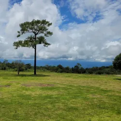 Phu Hin Rong Kla National Park - Phitsanulok