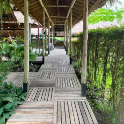 Phuket Elephant Sanctuary - Phuket