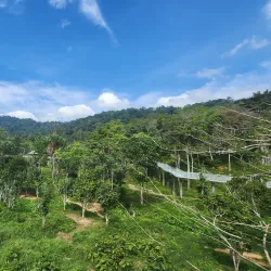 Phuket Elephant Sanctuary - Phuket