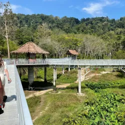 Phuket Elephant Sanctuary - Phuket