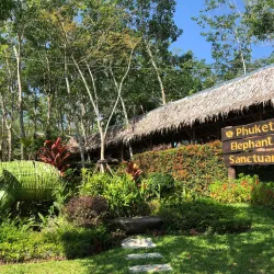 Phuket Elephant Sanctuary - Phuket