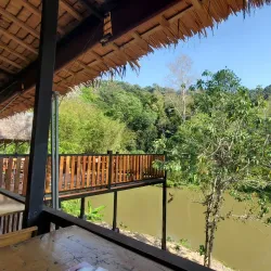 Phuket Elephant Sanctuary - Phuket