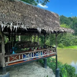 Phuket Elephant Sanctuary - Phuket