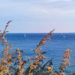 Promthep Cape - Phuket