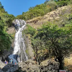 Khao Yai National Park - Prachin Buri