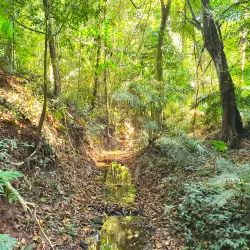 Namtok Heo Narok (Heo Narok Waterfall) - Prachin Buri