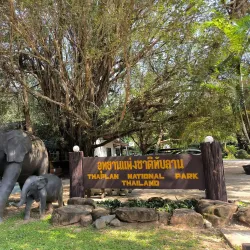 Thap Lan National Park - Prachin Buri