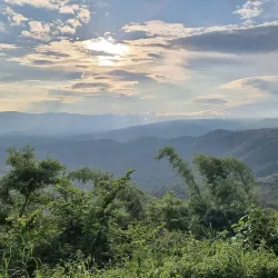 Thap Lan National Park - Prachin Buri