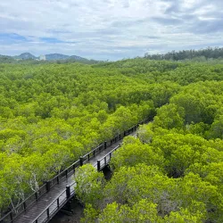 Pranburi Forest Park - Prachuap Khiri Khan