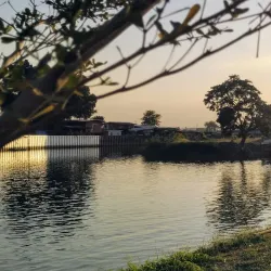 Khlong Rangsit Canal - Rangsit