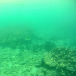 Koh Khang Khao - Ranong