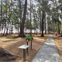 Laem Son National Park - Ranong