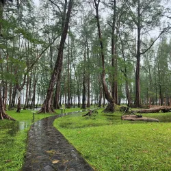 Laem Son National Park - Ranong