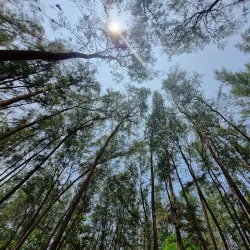 Laem Son National Park - Ranong